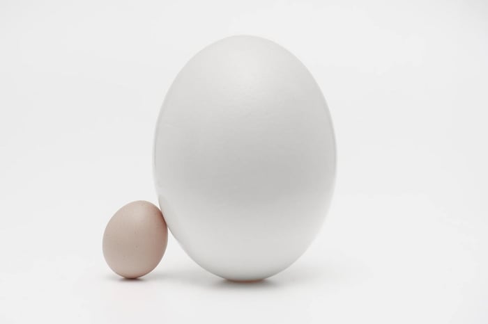Huevos grandes y pequeños apoyados el uno en el otro