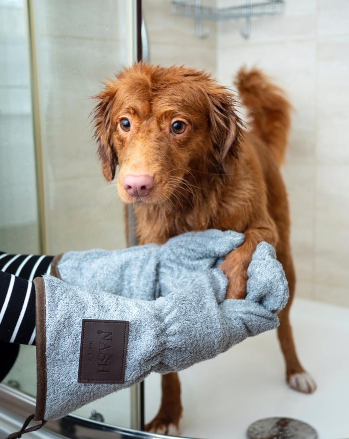 Un perro siendo bañado y secado