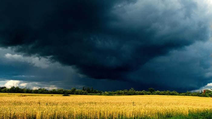 Nubes de tormenta que se avecina campos amarillos en primer plano