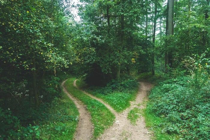 Two paths in a forest
