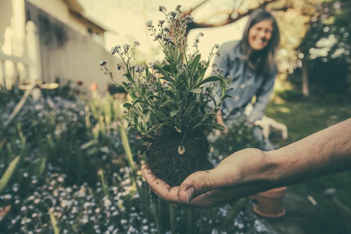 Een hand die een bloem in een tuin vasthoudt