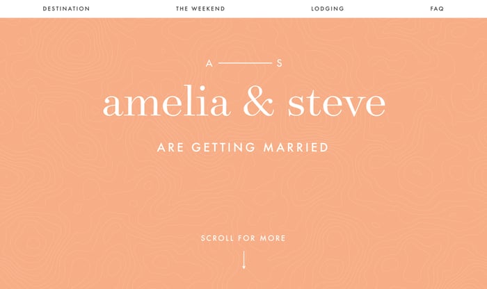 Trouw website van Amelia en Steve	