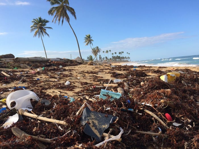 tropical beach covered in plastic garbage