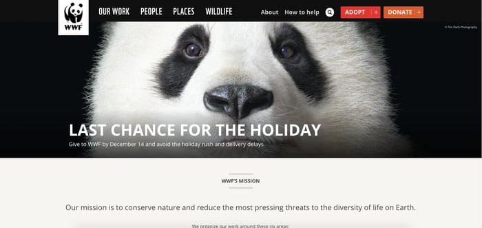 WWF landing page