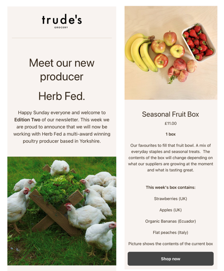 email newsletter template Trude's